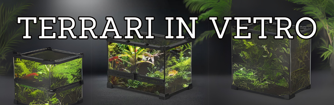 Terrari in vetro per rettili e animali esotici - Spedizione Italia