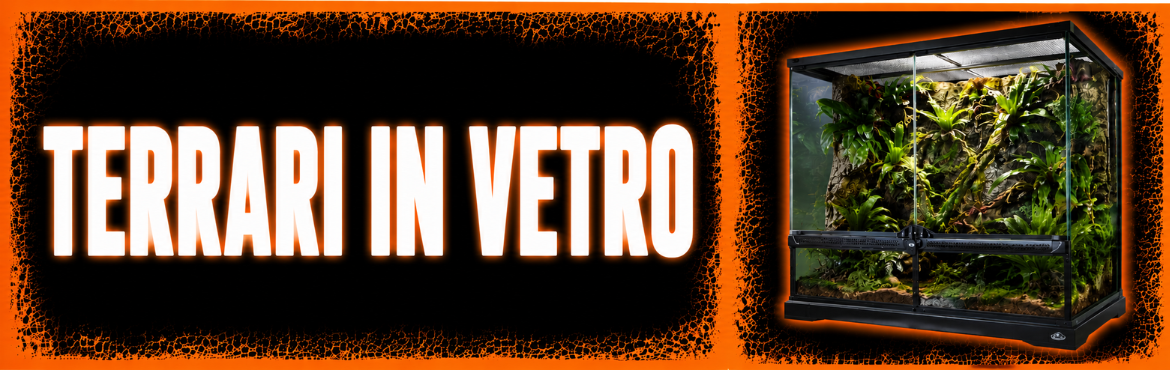 TERRARI IN VETRO