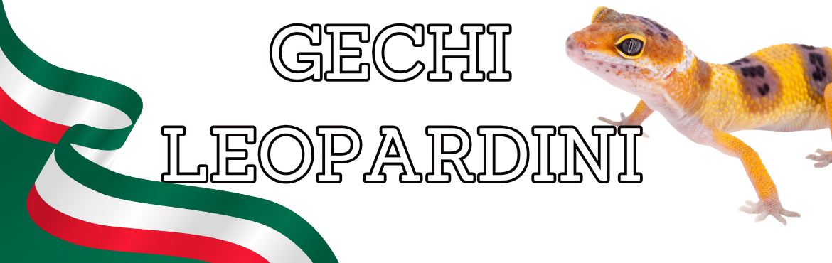 Gechi Leopardini - ReptyFood | Top Breeder Italia