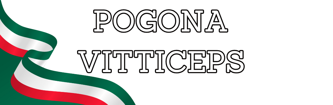 Pogona vitticeps - Alimentazione e Cura del Drago Barbuto | ReptyFood 