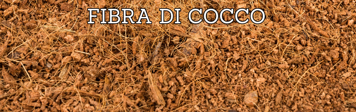 Fibra di Cocco per Terrari - Substrato per terrari | Reptyfood