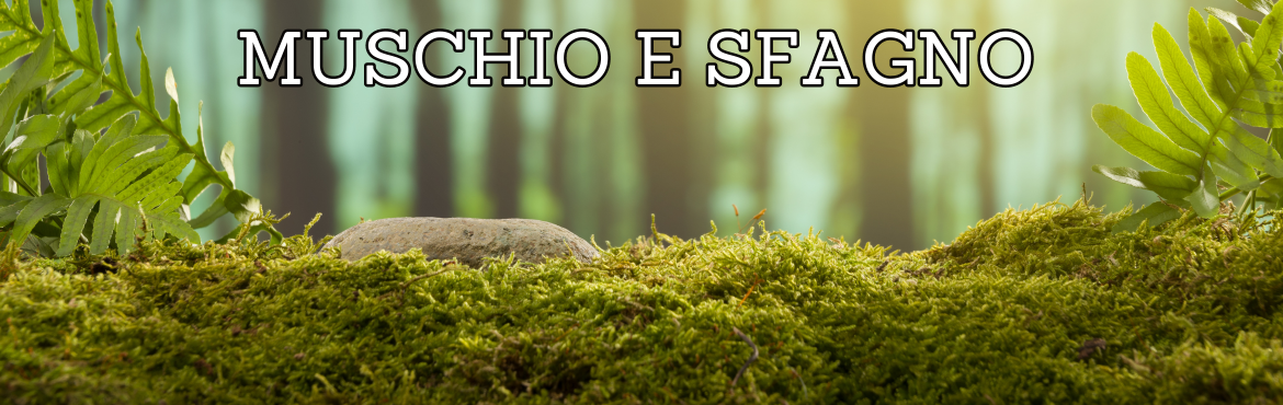 Muschio e Sfagno per Rettili - Substrati Naturali | Reptyfood