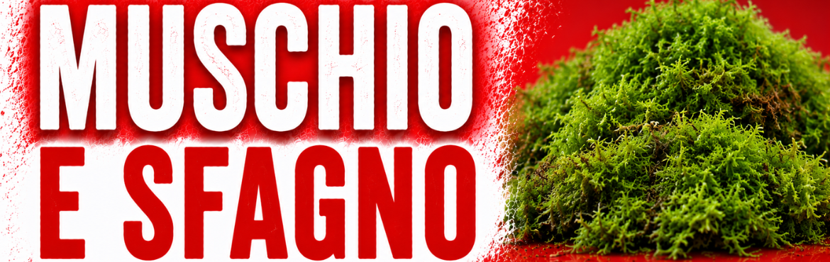 MUSCHIO E SFAGNO PER TERRARI