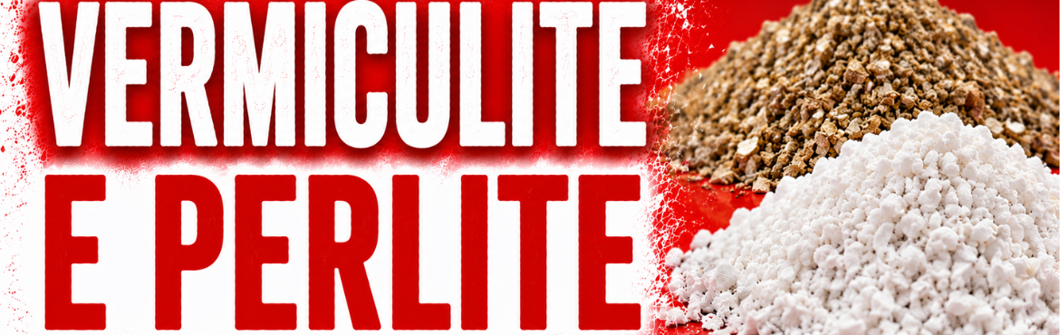 VERMICULITE E PERLITE PER INCUBAZIONE UOVA