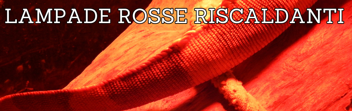 Vendita di lampade rosse riscaldanti per rettili | Reptyfood