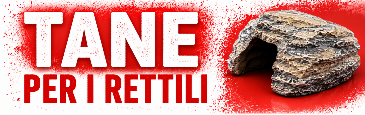TANE E NASCONDIGLI