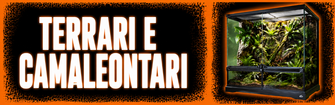 Terrari e Camaleontari per Rettili | ReptyFood Shop Online