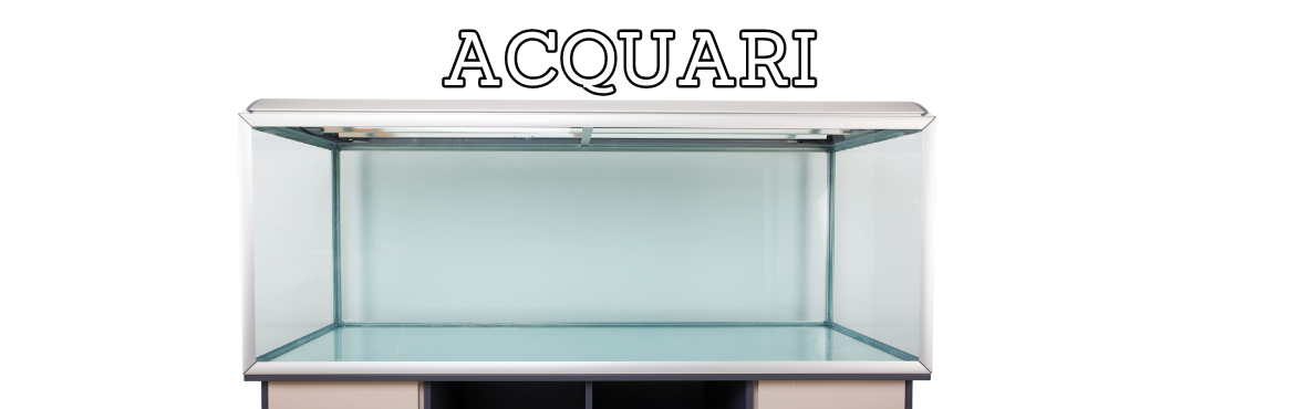 Acquari e Tartarughiere per Pesci e Tartarughe | Reptyfood