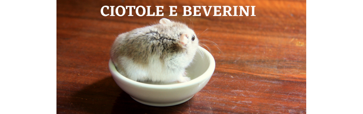 Beverini e Ciotole per Roditori - Accessori di Qualità su Reptyfood