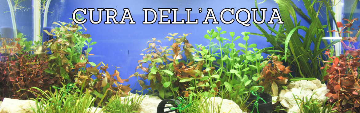 Prodotti per la Cura dell'Acqua per Acquari - Reptyfood