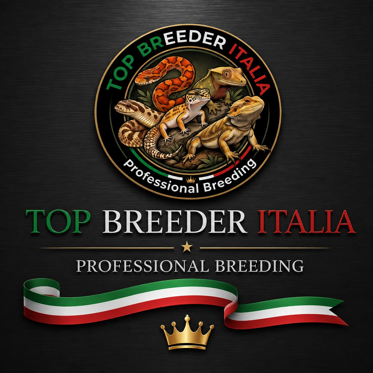 top breeder italia (2).webp