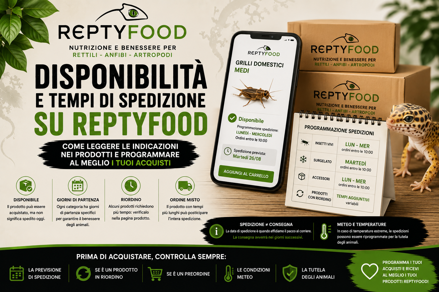 Disponibilità e tempi di spedizione su ReptyFood: come leggere le indicazioni sui prodotti