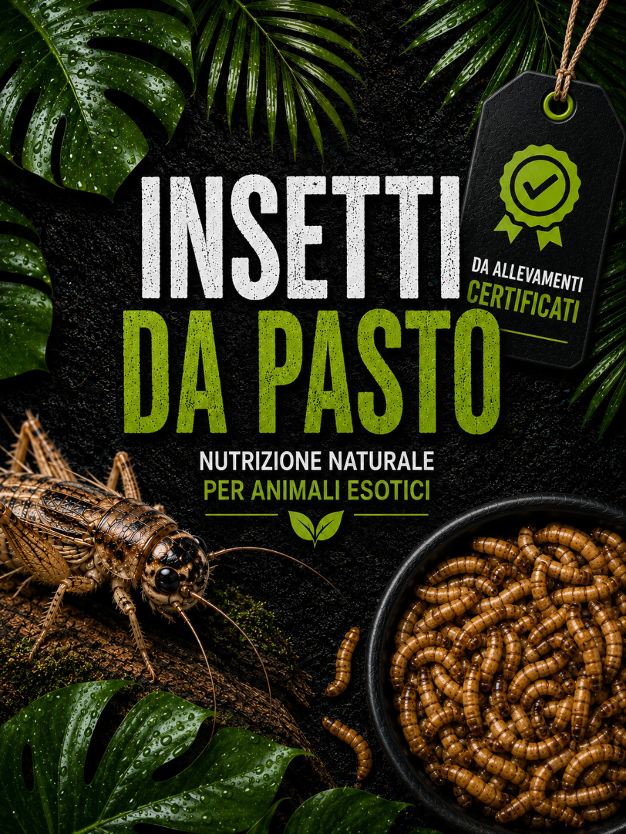 Insetti da pasto ReptyFood